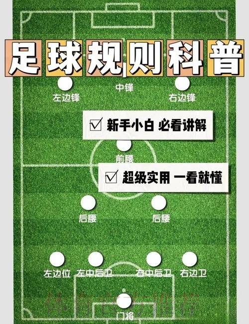 世界杯下注的法律法规解析 世界杯下注的法律法规解析